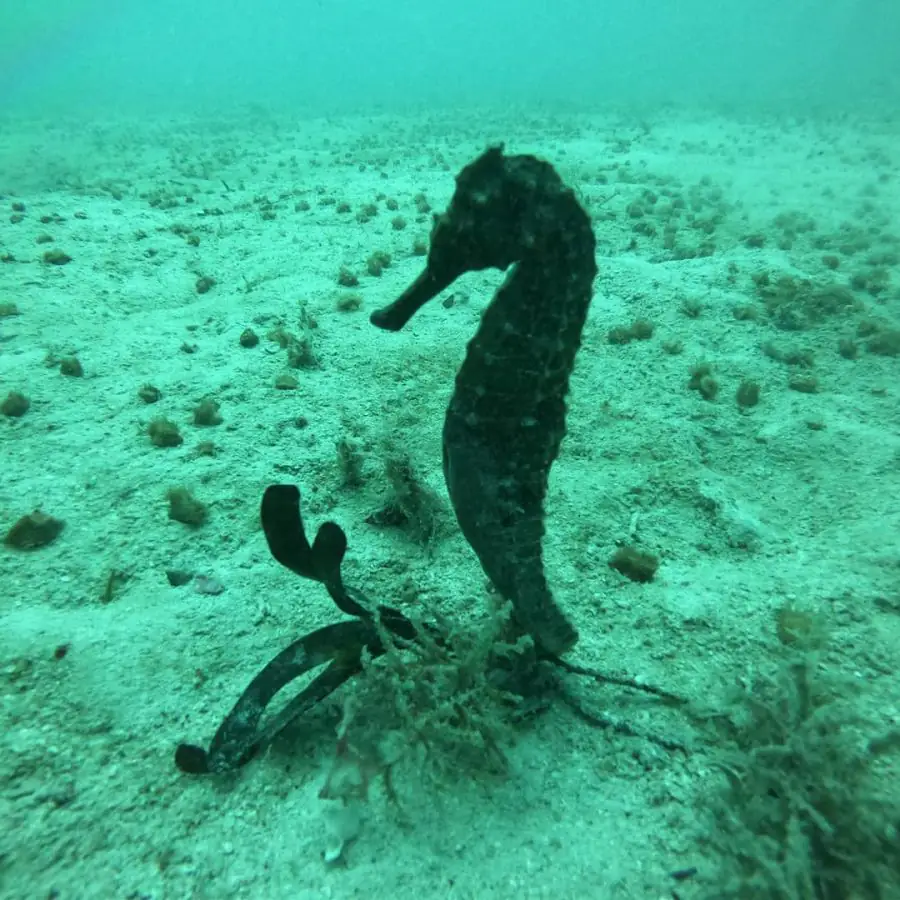 216386224 112374307781240 9112597871601304263 n