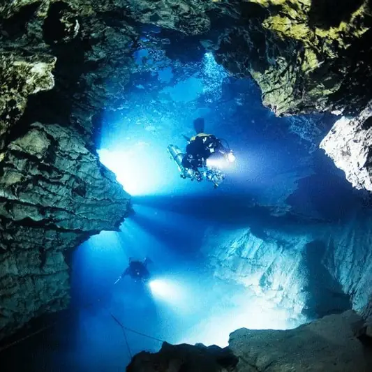 259069162 146553364363334 6817343404415068381 n