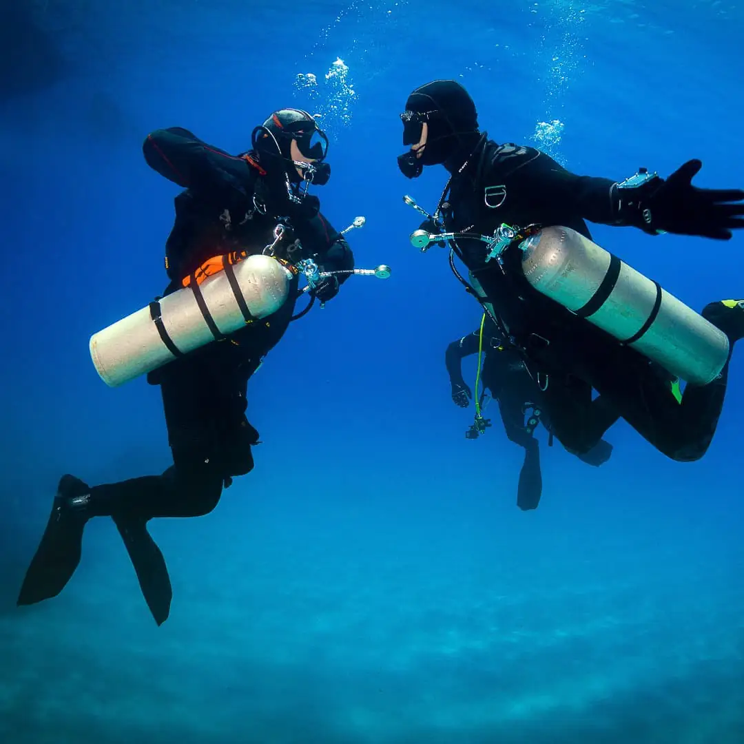 262170064 149033780781959 7999880257911340762 n