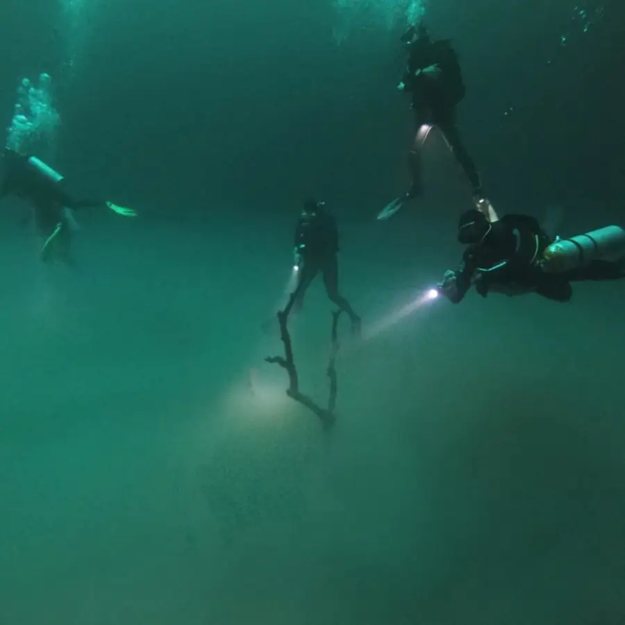 263152159 149378114080859 1514282888056234815 n