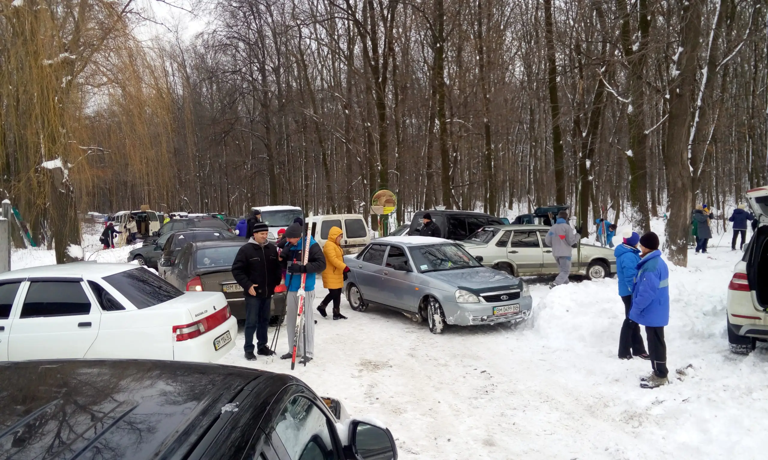 P60110 124830 scaled