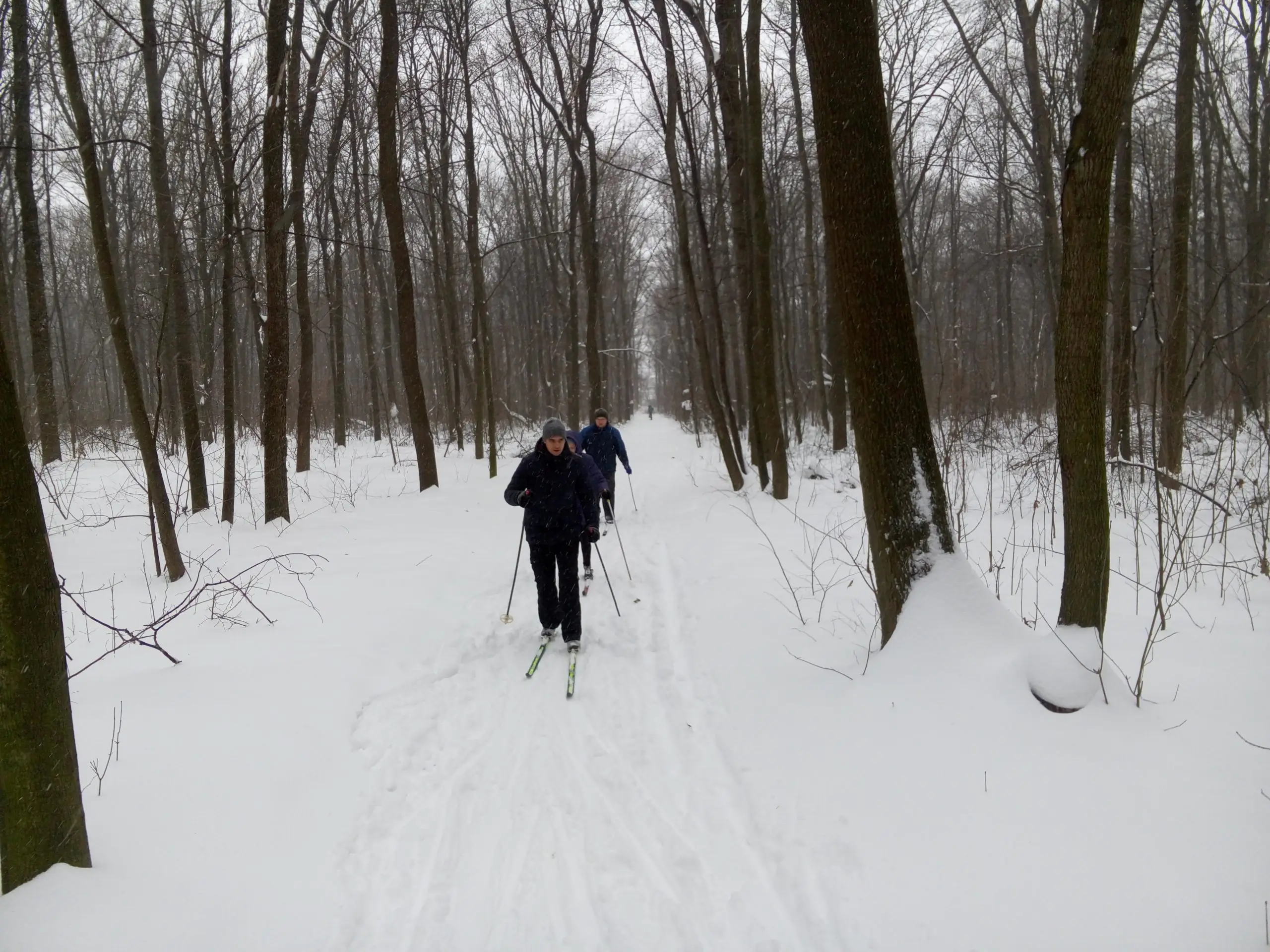 P70108 123147 scaled