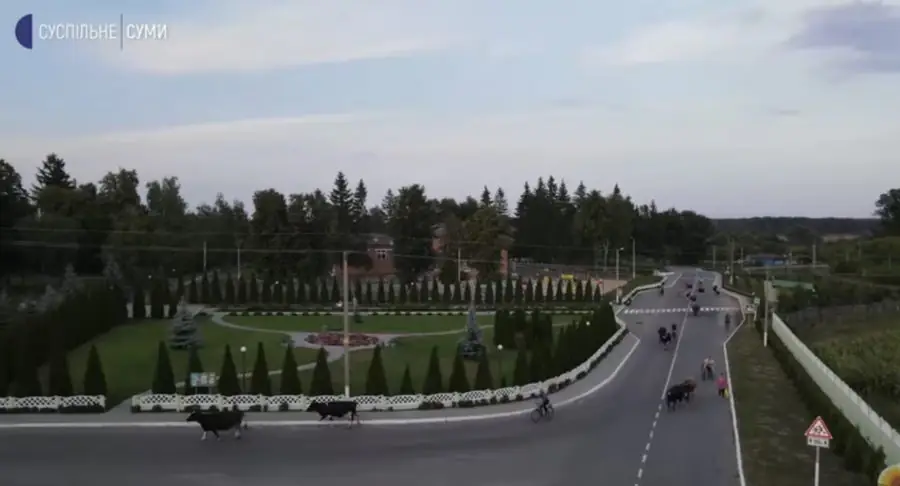 yyyyyyyyyyyyyyyyyyyyyyy