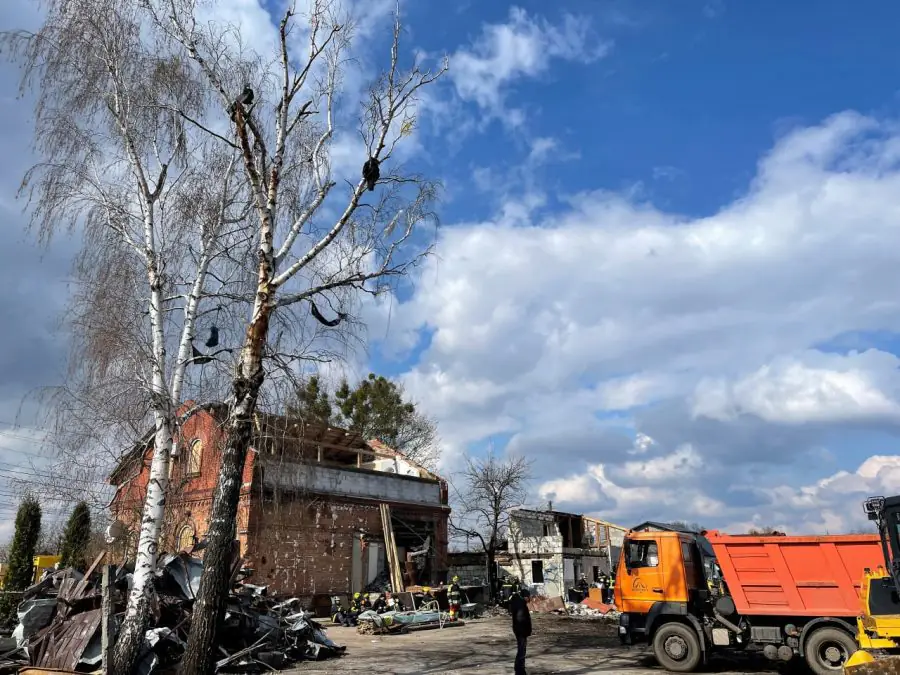 photo 2022 04 26 15 01 00