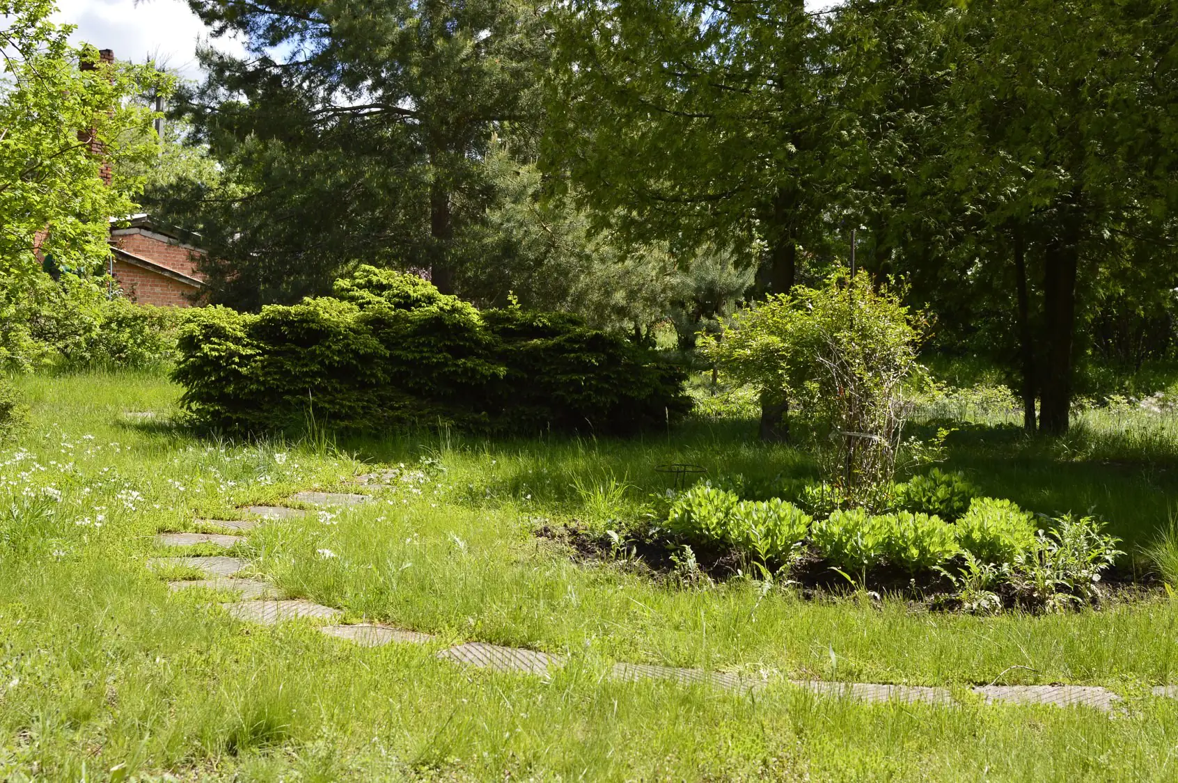 98458405 2597728340501033 6410754192729702400 o