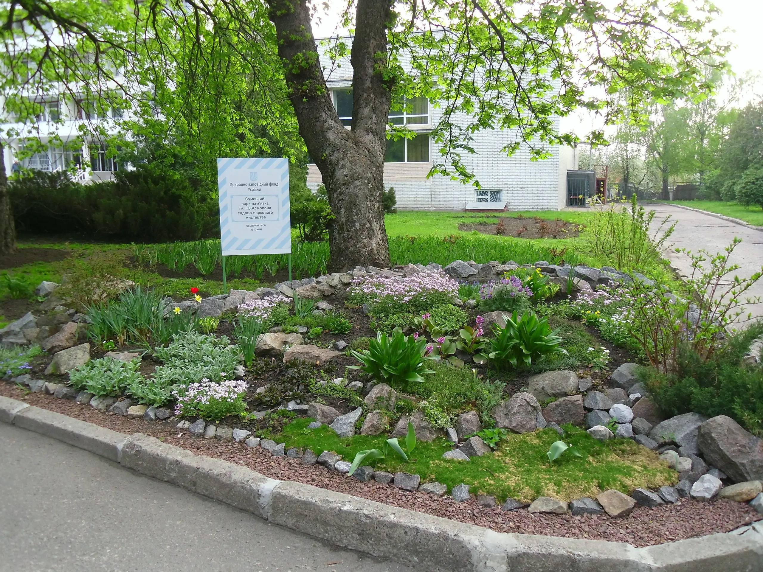 Alpiyska girka bilja vhodu scaled