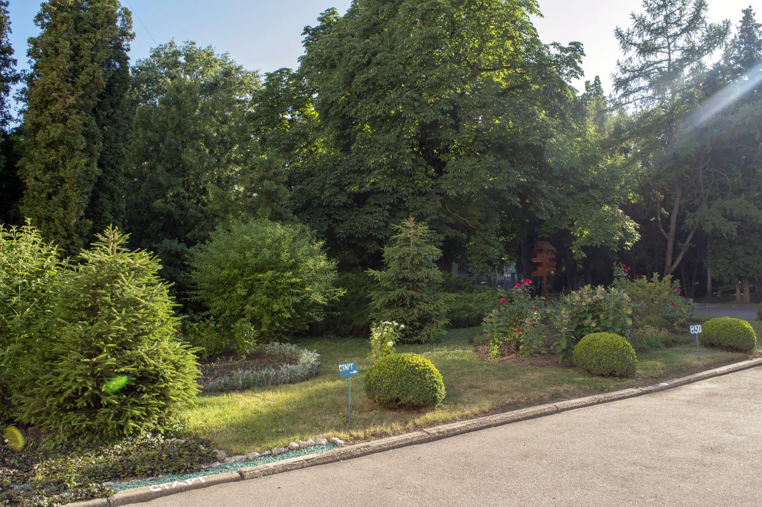 Park Asmolova 01 scaled