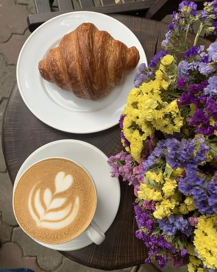 240216751 205715411536863 1490645659203774192 n