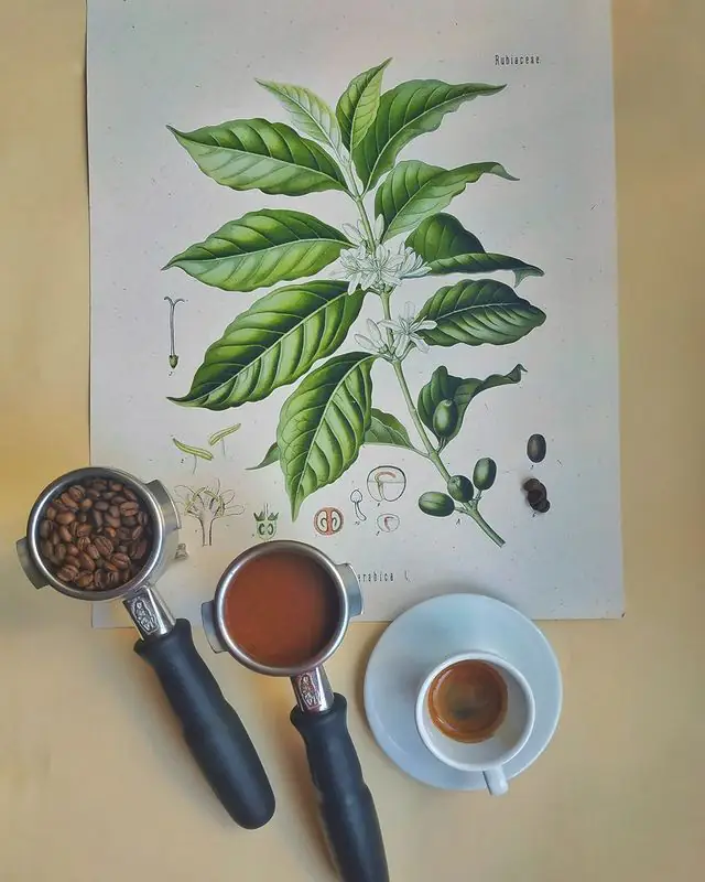 261219580 1059453234612989 6143453047136649886 n