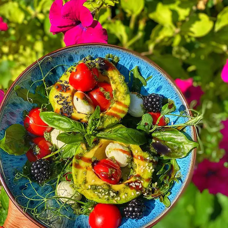 298195060 642240913571767 319629529437602896 n