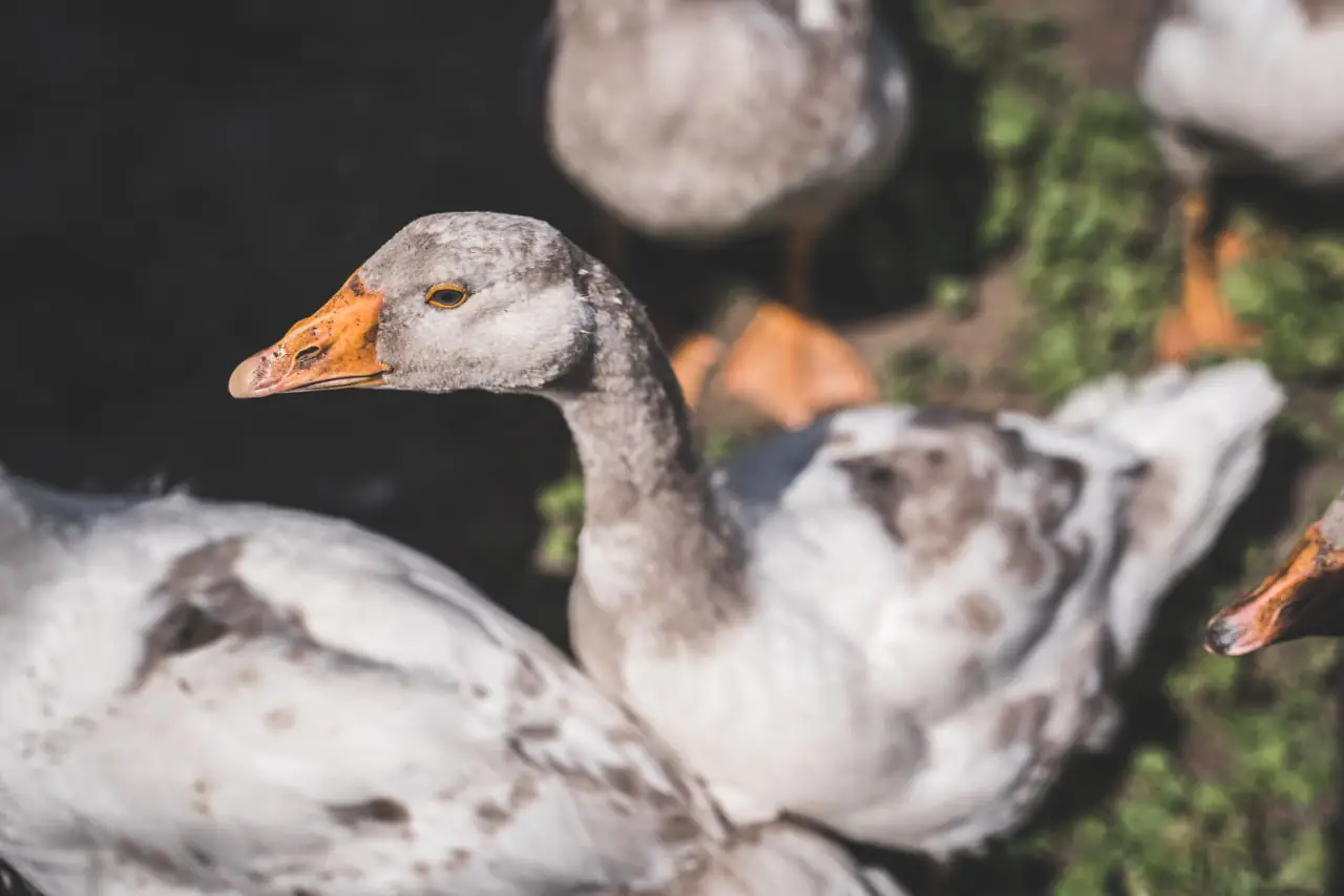 photo 2022 08 05 14 39 19