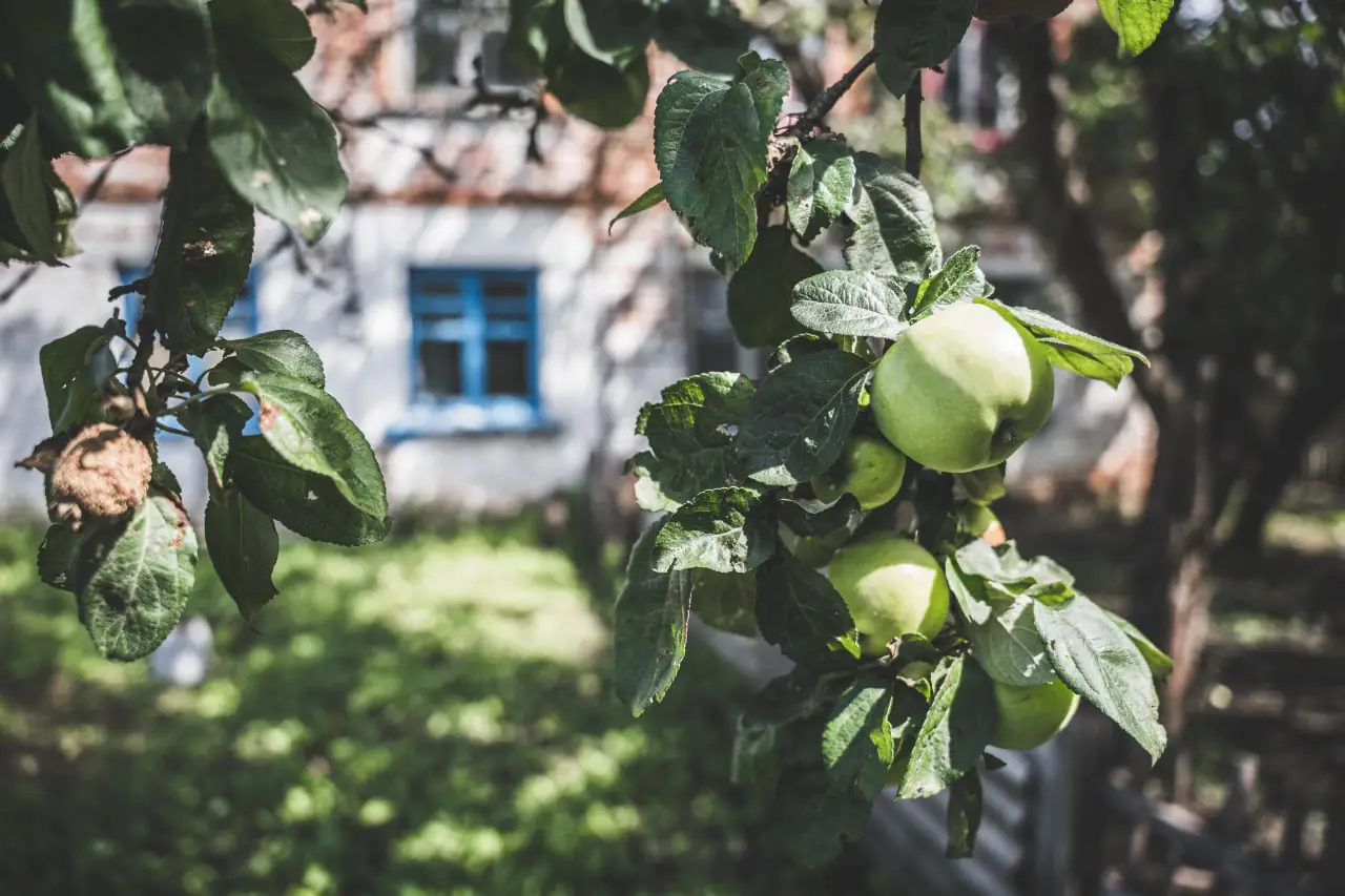 photo 2022 08 05 14 39 21