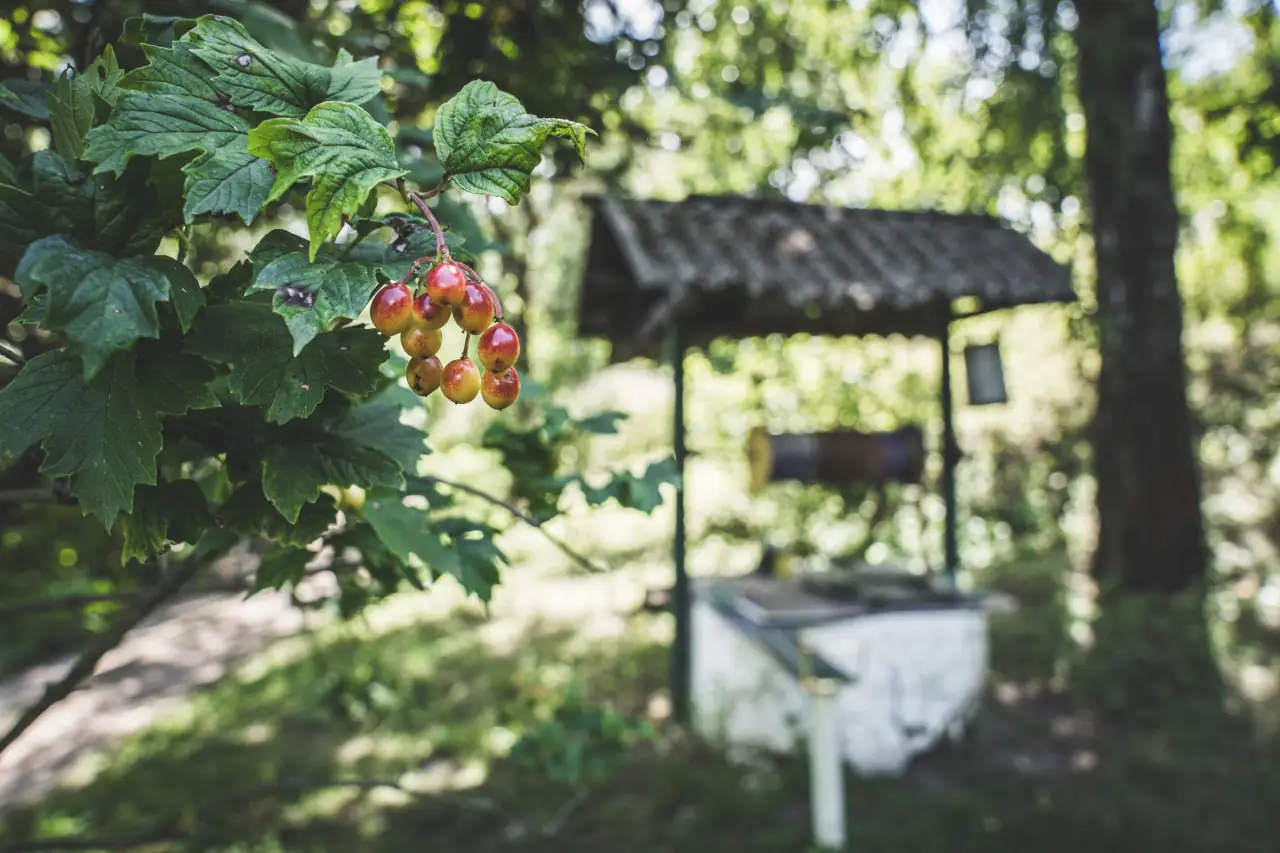 photo 2022 08 05 14 39 25 3