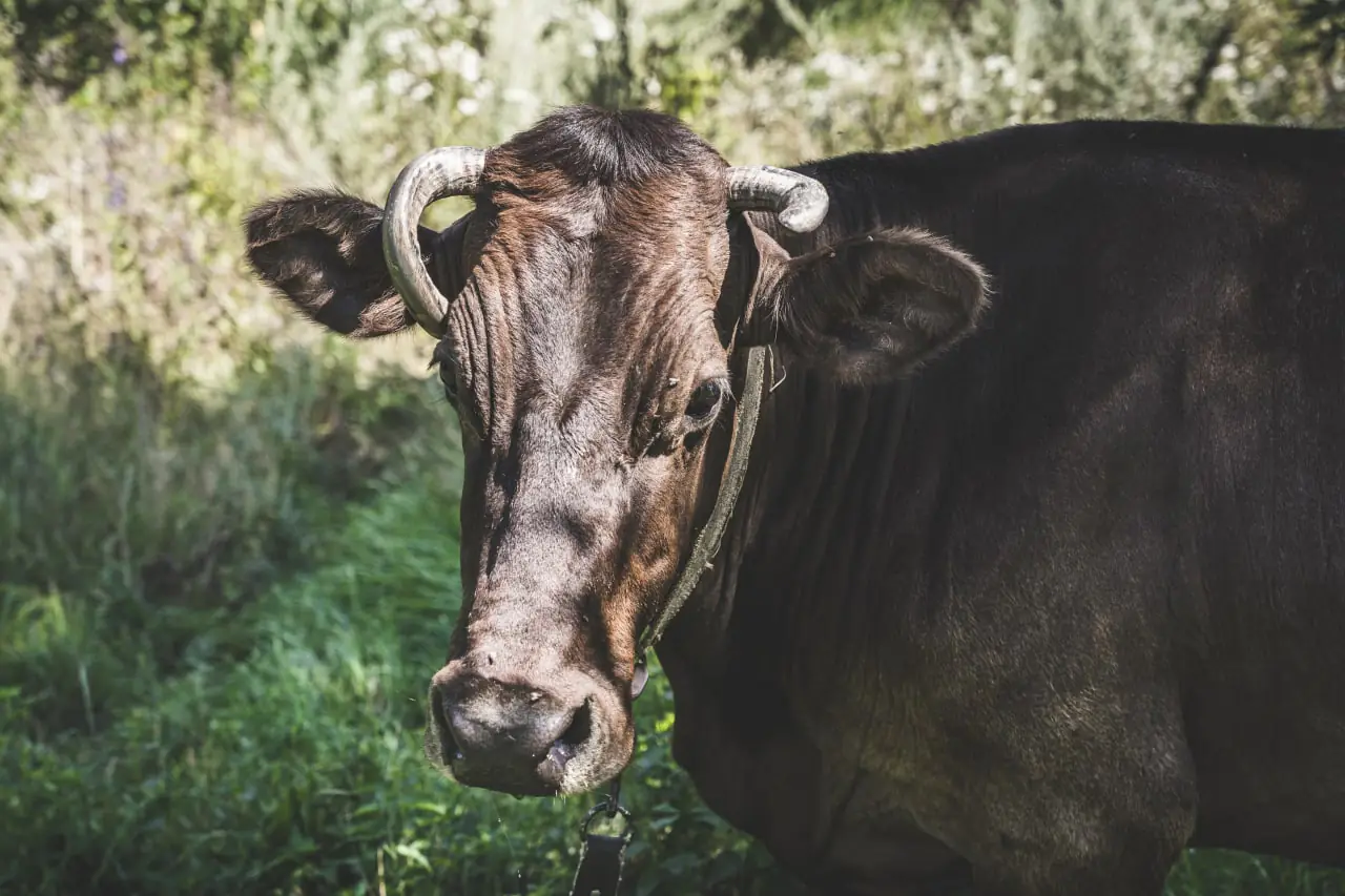 photo 2022 08 05 14 39 26 2