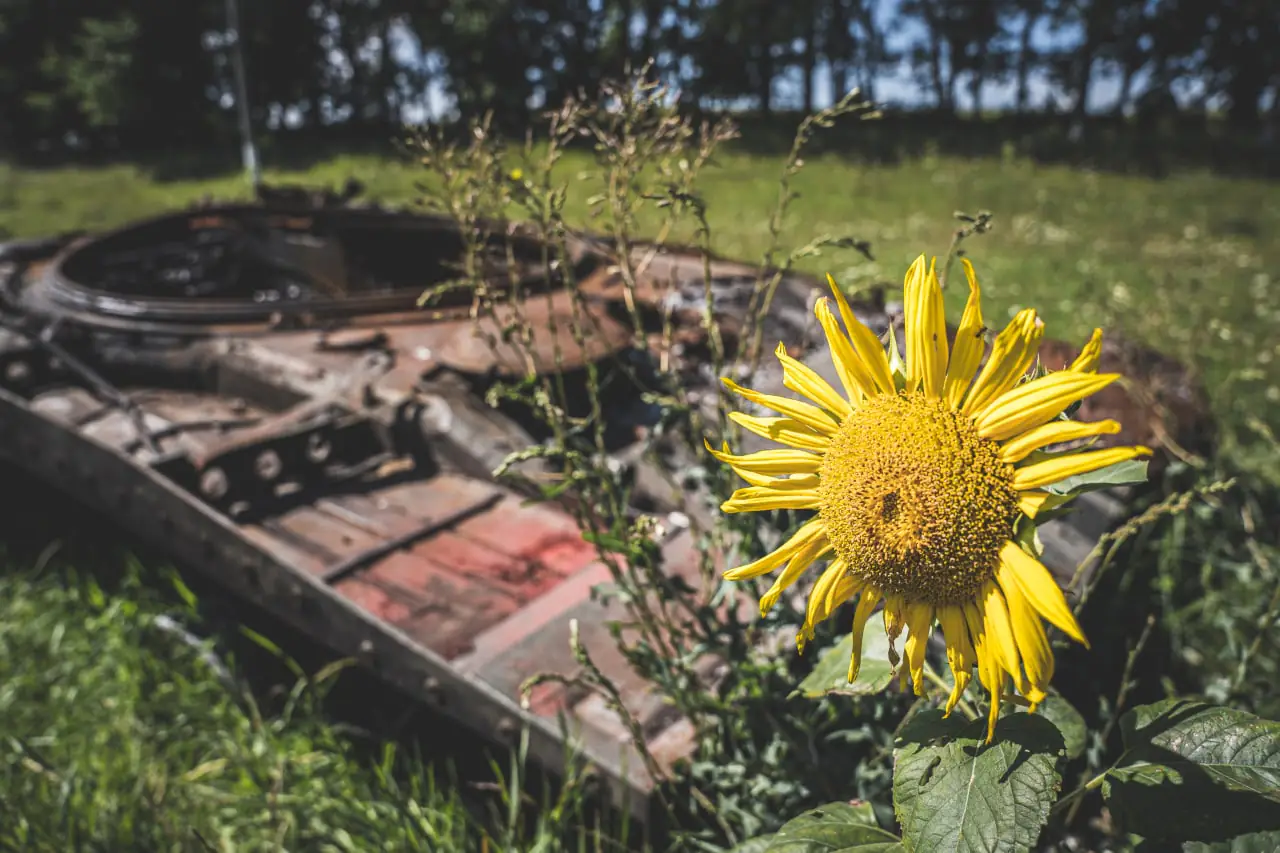 photo 2022 08 05 14 39 34 1