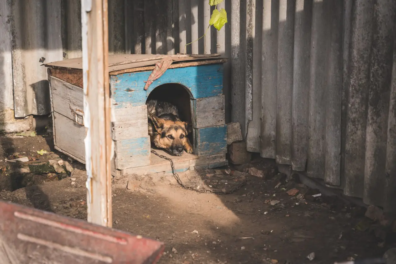 photo 2022 11 08 15 54 02