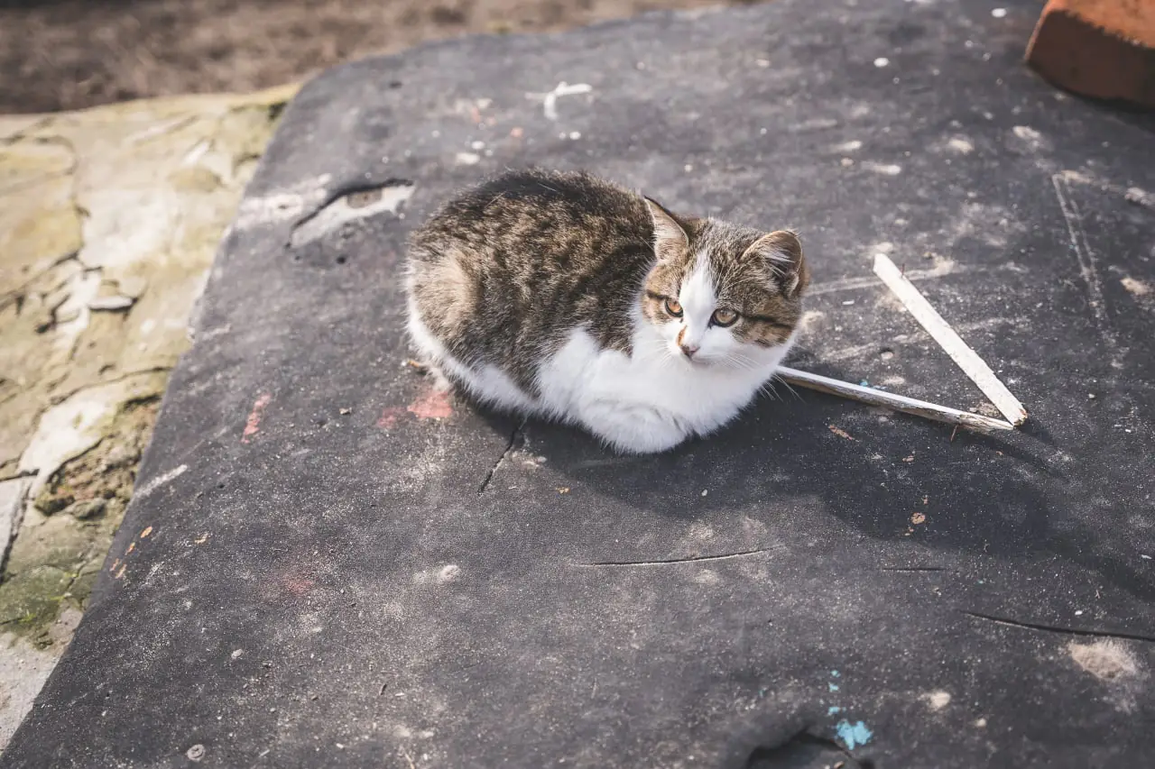 photo 2022 11 08 15 54 04