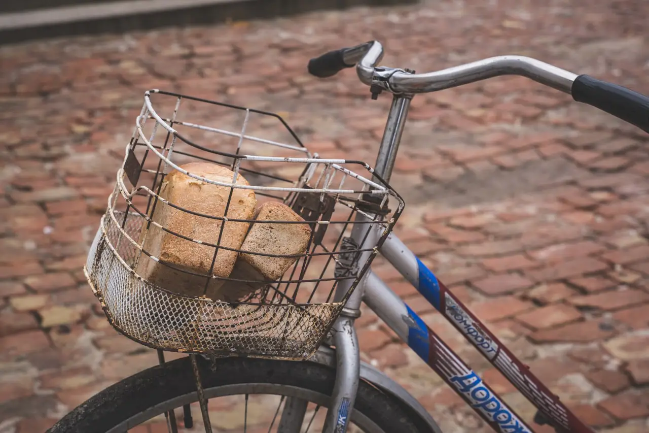 photo 2022 11 08 15 54 08