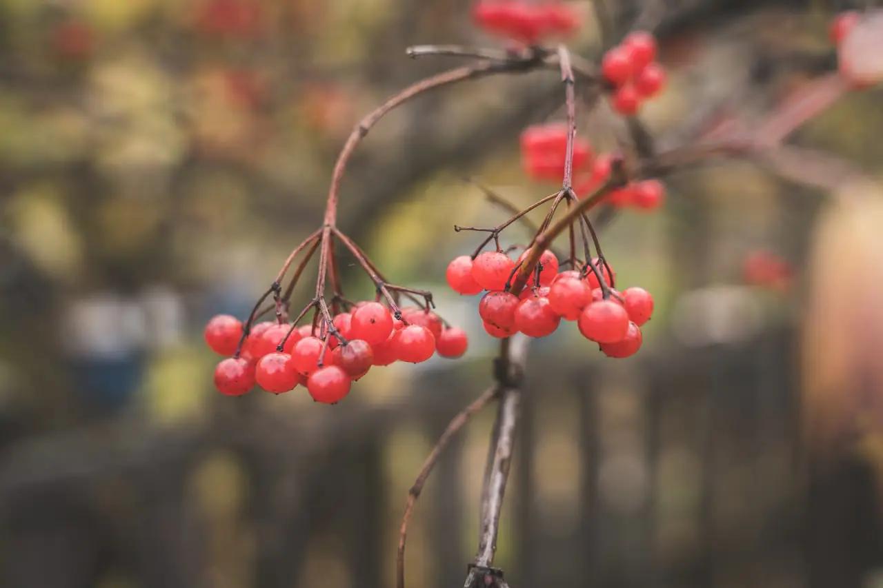 photo 2022 11 08 15 54 24