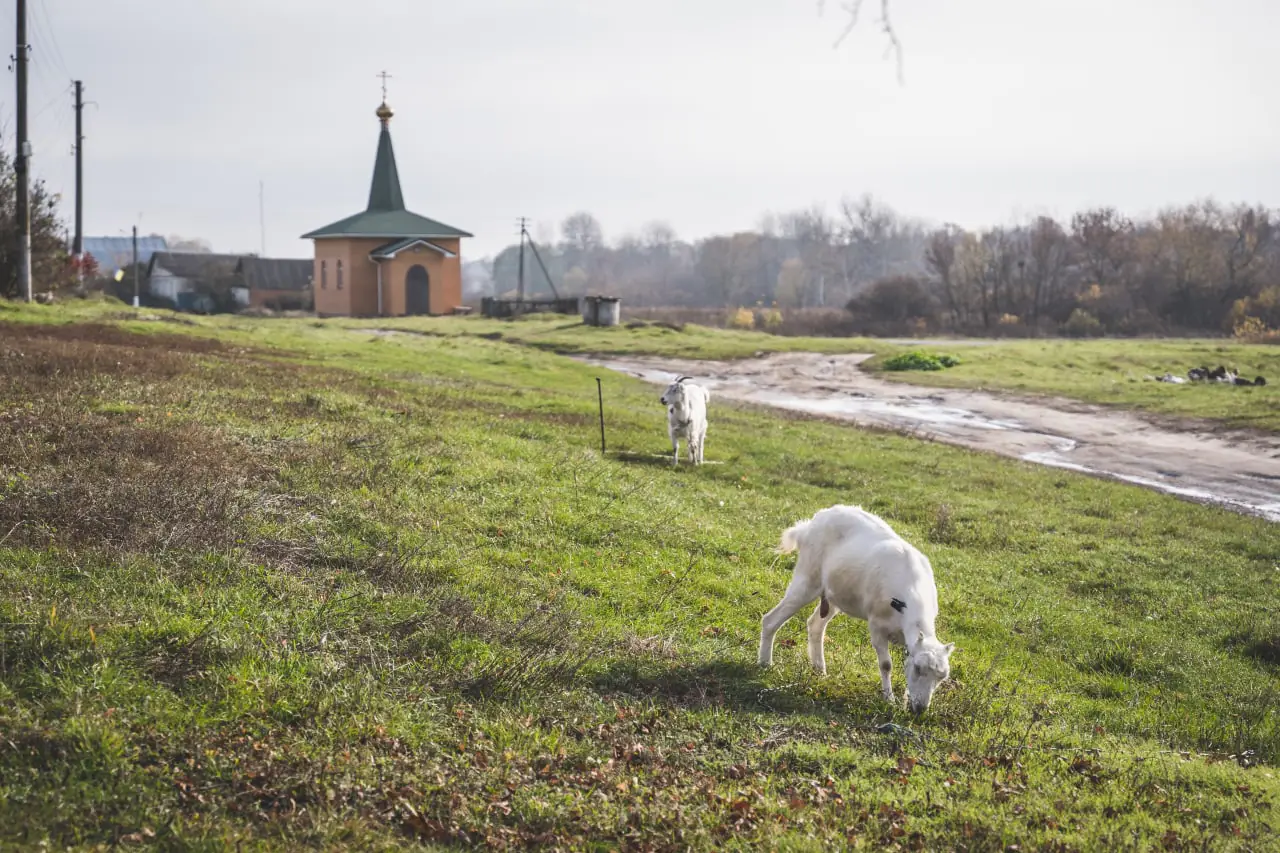 photo 2022 11 08 15 54 26