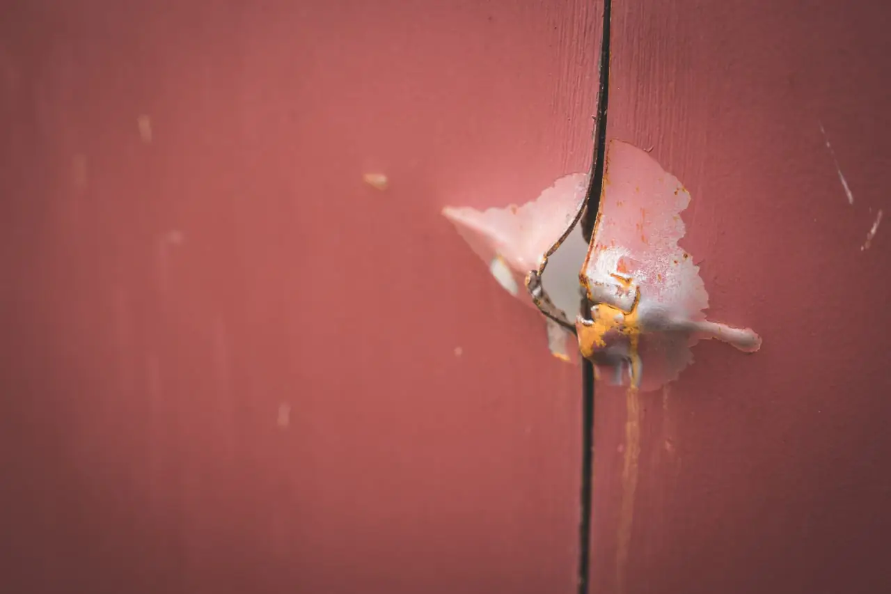 photo 2022 11 08 15 54 31