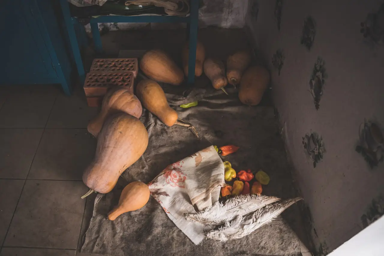 photo 2022 11 08 15 54 36