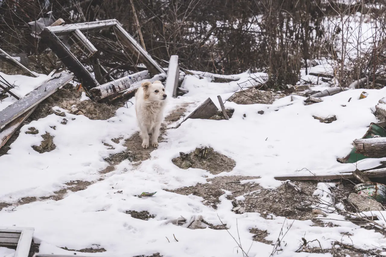 photo 2023 01 04 16 00 30