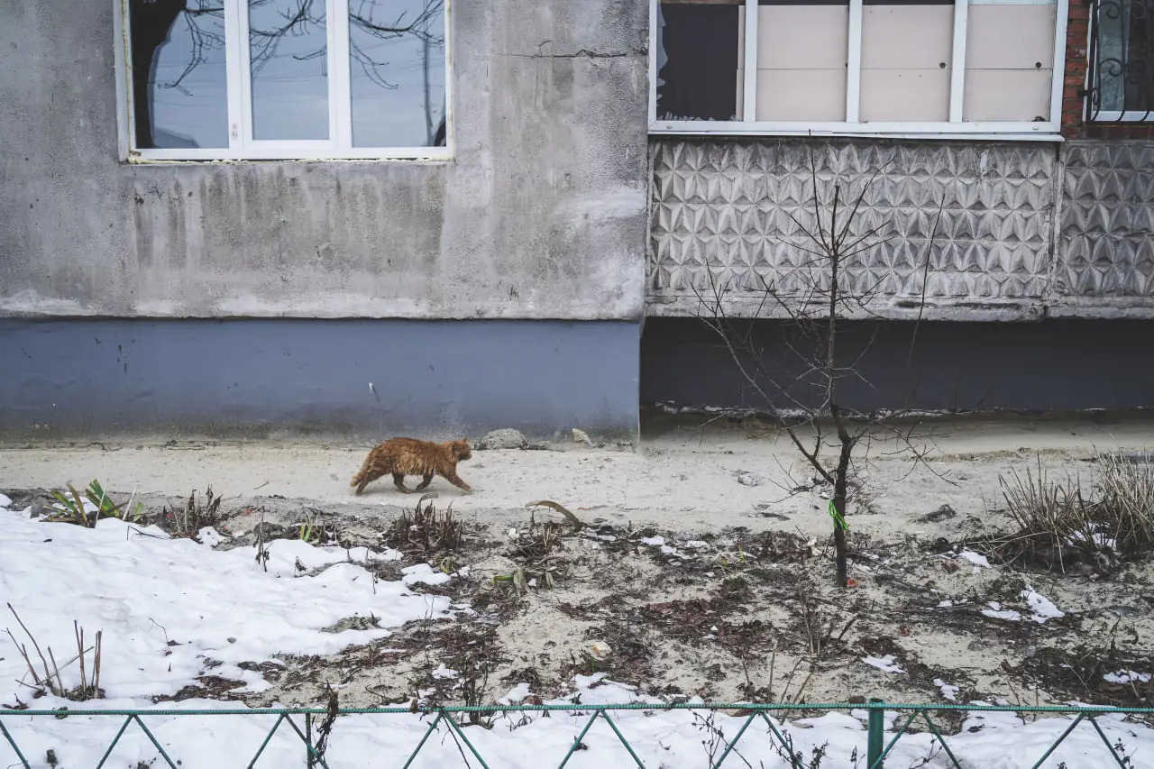 photo 2023 01 05 10 53 02