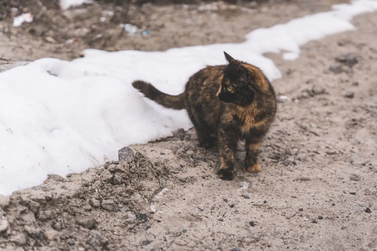 photo 2023 01 05 10 53 07 3