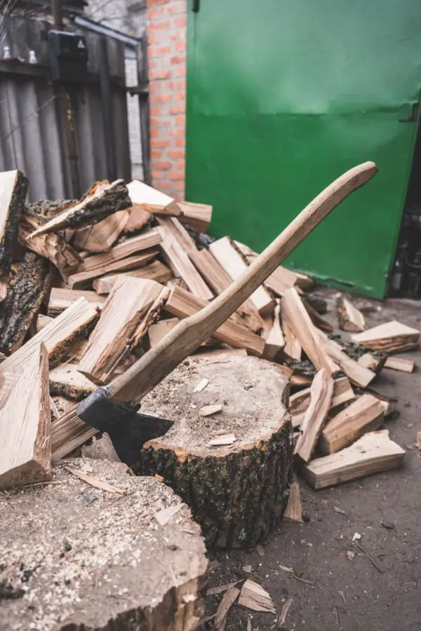 photo 2023 01 05 10 53 07