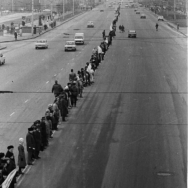 zhyvyy lantsiuh Kyiv foto UINP