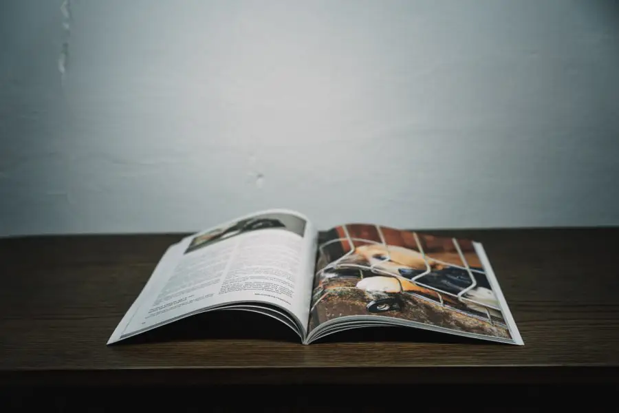 photo 2023 02 14 15 33 04 3