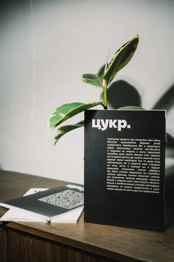 photo 2023 02 15 11 24 19