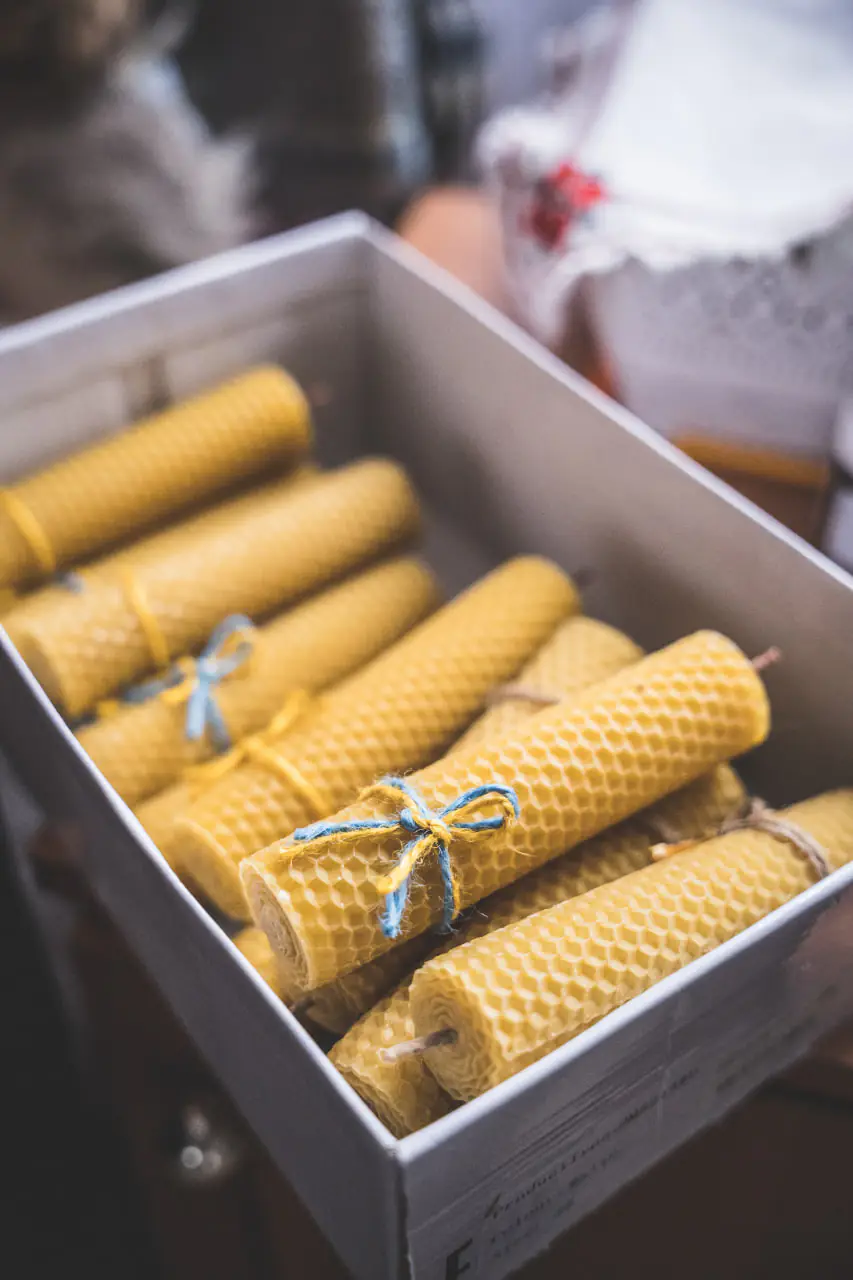 photo 2023 03 27 12 08 12