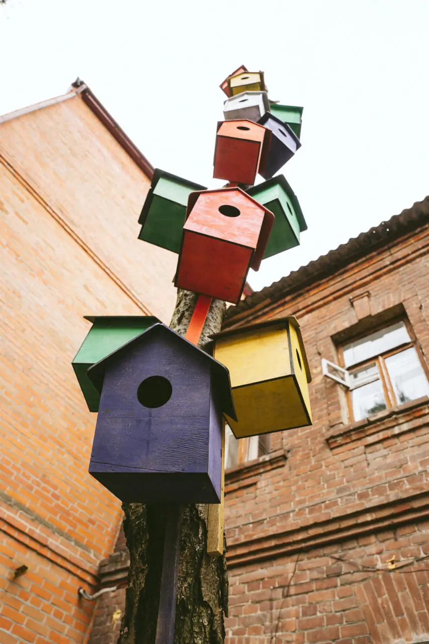 photo 2023 04 13 14 07 44