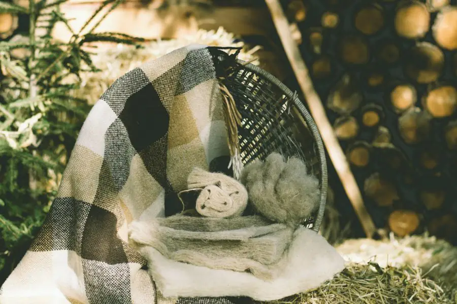 photo 2023 06 07 16 07 56