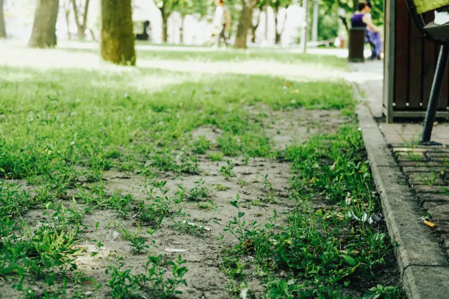 photo 2023 06 22 14 47 01