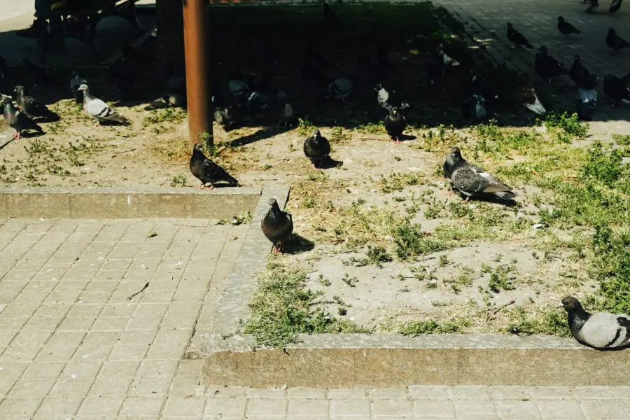 photo 2023 06 22 14 47 06