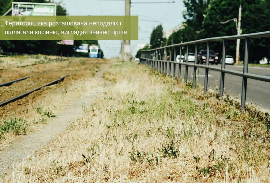 photo 2023 06 22 14 47 22