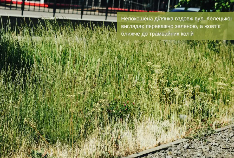 photo 2023 06 22 14 47 27