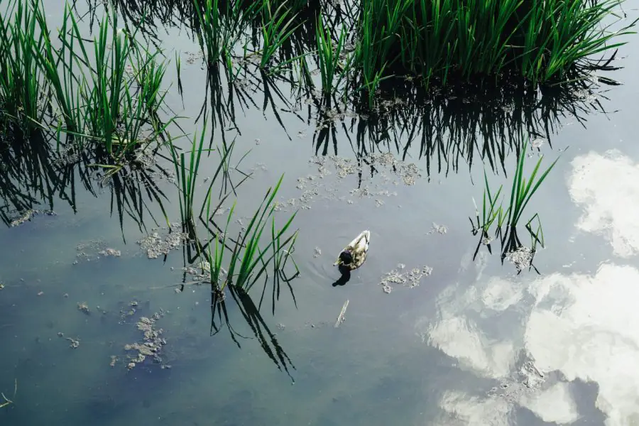 photo 2023 06 22 14 47 31