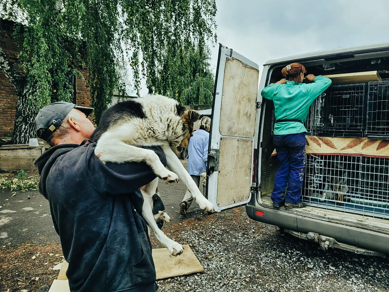 photo 2023 07 26 10 58 47