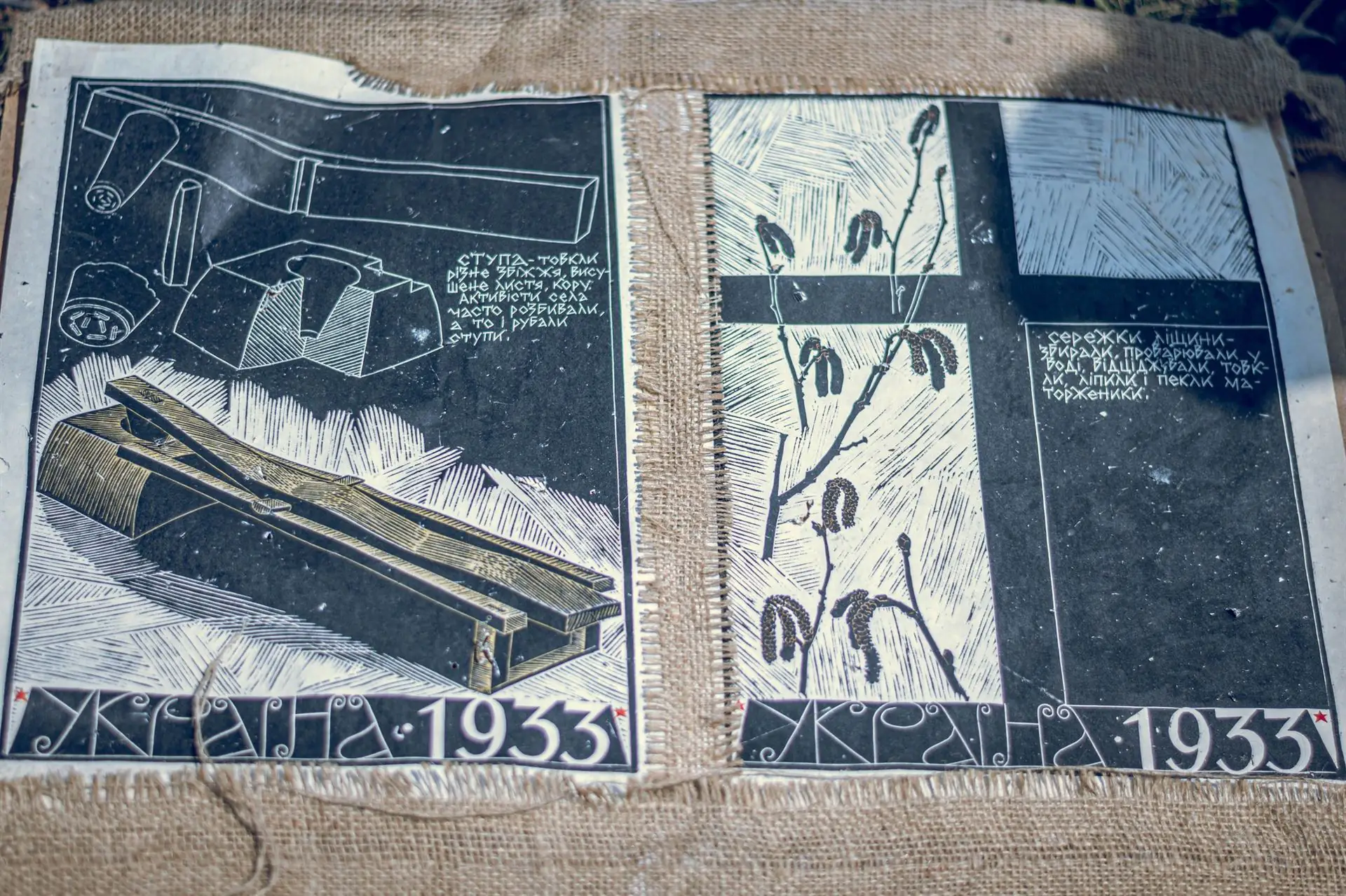 365010581 685062180328341 3637246869296979537 n