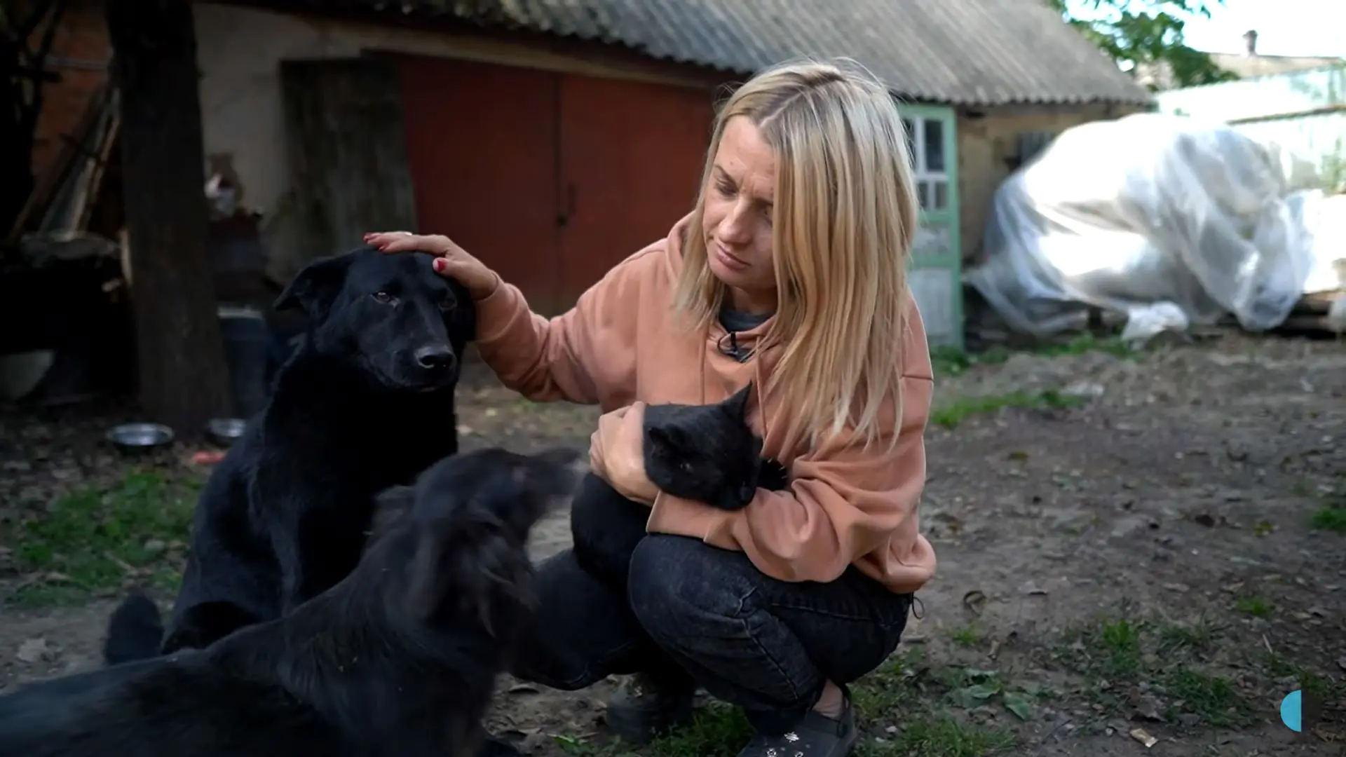 image 2023 09 19 15 52 50