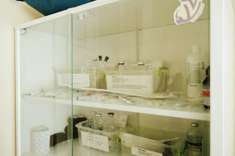 photo 2023 09 07 17 47 05