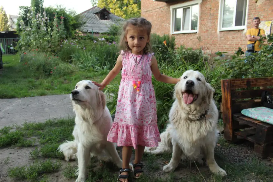 photo 2023 10 06 16 07 44