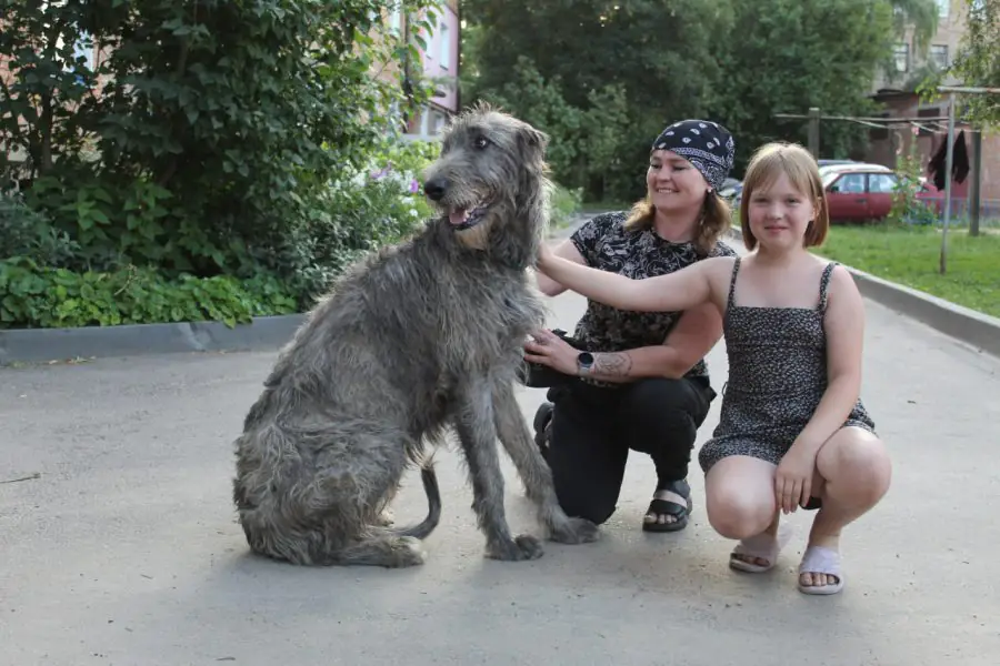 photo 2023 10 06 16 07 45