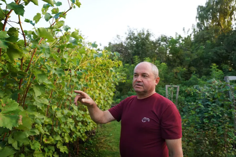 photo 2023 10 16 17 58 30