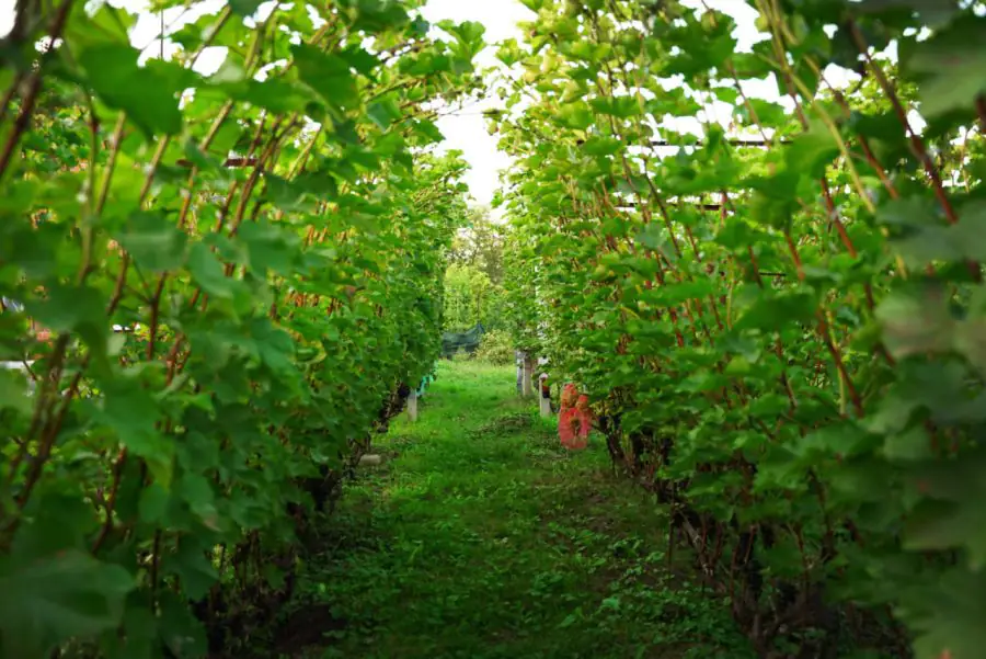 photo 2023 10 16 17 58 32