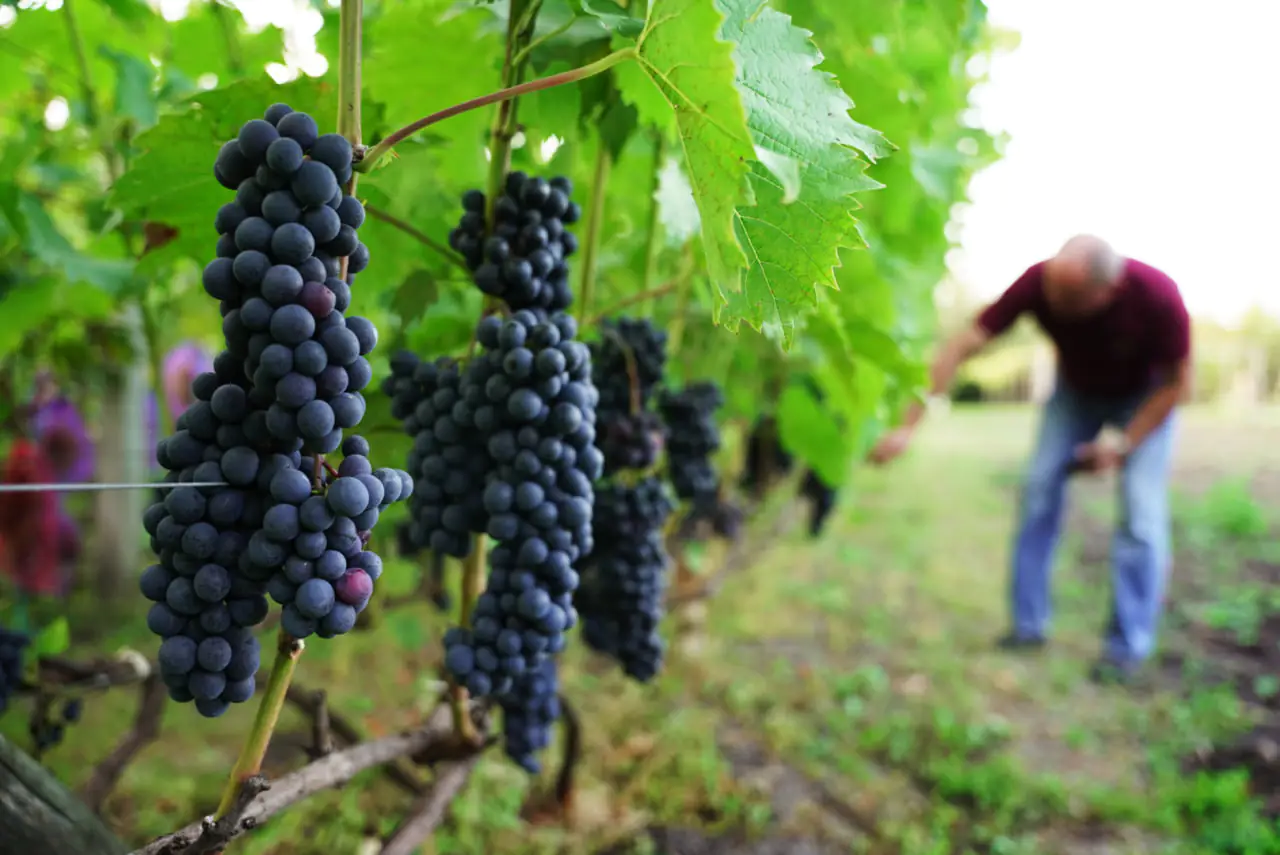 photo 2023 10 16 18 02 17